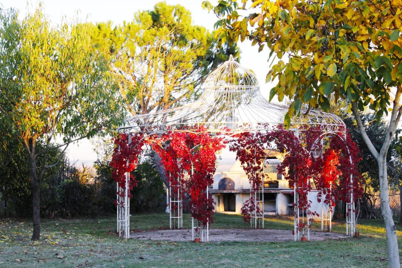 Appartamento Con Piscina E Giardino A シエーナ エクステリア 写真
